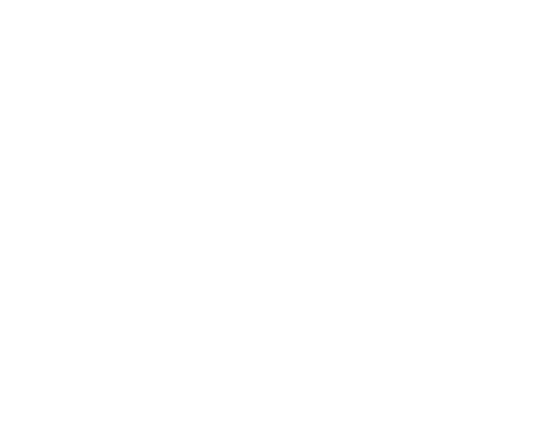 Prun Sports logo